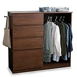 LOWYA （ロウヤ） チェスト 収納チェスト 4段 タンス 箪笥 幅120cm 洋服タンス ハンガーラック 洋服収納 ウォルナット