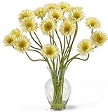 Nearly Natural 1086-CR Gerber Daisy Liquid Illusion Silk Flower Arrangement, Cream by Nearly Natural