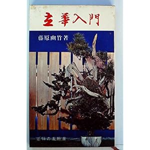 立華入門 (1966年) (主婦の友新書) 立華入門 (1966年) (主婦の友新書)
