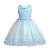 Domybestドレススカート 女の子 レースを飾る ライトブルー 花刺繍 プリンセス風 結婚式 花嫁介添人 入園式 演奏会 発表会 七五三 パフォーマンス 卒業式 2-8歳の子供に適し