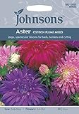 JOFL 英国ジョンソンシード Aster Ostrich Plume Mixed アスター・オーストリッチ・プラム・ミックス