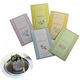 Ｔｈａｎｋ ｙｏｕ ｓｅｅｄｓ ありがとうの栽培キット バジル