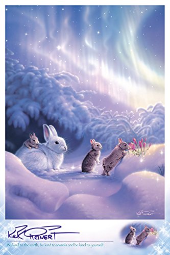 カーク レイナート展のうさぎ ネザーランドドワーフ うさぎの のん