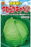 アタリヤ農園 ガーデニング用品 種 一代交配 四季どりやわらかキャベツ
