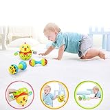 LanLan Baby Chicken Rattle Ball and Teether Toy Early開発Toy for Babyグリーン