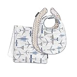 DwellStudio Flight Bib and Burp Set, Flight by Dwell Studio