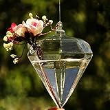 ダイヤモンドの形ガラスの花植物花瓶養液栽培のコンテナ