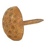 A29 Hand Forged Iron Round Dimpled Cloves/Nails, Rust Finish, Set of 4 [並行輸入品]