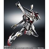 1339 ROBOT魂 〈SIDE MS〉 クロスボーン・ガンダム X-0