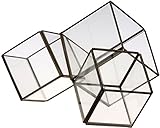 PL ディスプレイケース テラリウム トリプル 22453