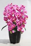 アートフラワー・造花・新胡蝶蘭5本立て陶器鉢・光触媒品
