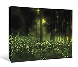 JP London SCNV2541 2 Thick Heavyweight Gallery Wrap Canvas Forest Glow Firefly Night Trees At 12 Hig