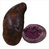 国華園　じゃがいも種芋　シャドークイーンP　1kg【※発送が国華園からの場合のみ正規品です】