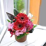 ５色から選べる フォーチュンカラーアレンジメント カーディナルレッド