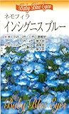絵袋詰種子『ネモフィラ インシグニス(メンジェシー) ブルー』