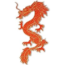 三線本体 赤茶色　ドラゴン刺繍付き 楽天市場】赤虎刺繍半袖Tシャツ 絡繰魂 232016 和柄 和風 トラ