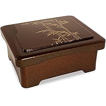 51IykVfUeNL._AC_UL210_SR210,