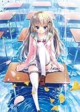 9-nine-ここのつここのかここのいろ ソフマップLIMITED EDITION 【 描き下ろしB2 Wスウェー ドタペストリー （キャラクター ： 九條都） 録り下ろしドラマCD 『都ちゃん、ちょっとえっちなマッサージ。』 抱き枕カバー （キャラクター：九條都） 】