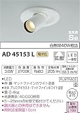コイズミ照明 ダウンライト ILDA 白熱灯40W相当 1灯  AD45153L