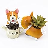 2個入り植木鉢 ラブリーコーギー犬 装飾 多肉植物 ミニ樹脂フラワーポット アウトドア