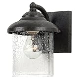 Sea Gull Lighting 84068746 Lambert Hill Outdoor Wall Lantern [並行輸入品]