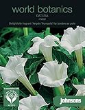 WB 英国ジョンソンシード World Botanics Datura Metel ワールド・ボタニクス・ダツラ・メテル