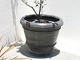 【軽くておシャレな植木鉢】 リンディー グレー (32cm) ファイバークレイ アンティークテラコッタ風 園芸 ガーデニング　おしゃれ