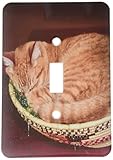 3drose LLC lsp _ 83708 _ 1オレンジTabby Cat Asleep in an easter basket na02 csl0214 Charles Sleicher Sin