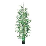 日本ビダヤコム GREEN&BERRIES 7FTバンブーポット FD5319 グリーン