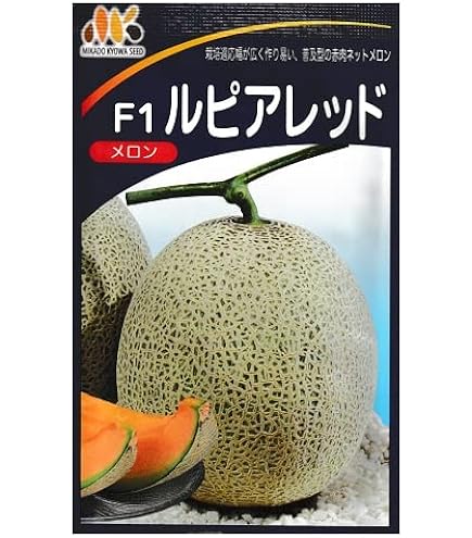 オルフェメロン Amazon.co.jp: 神田育種農場 メロン オルフェ : DIY・工具・ガーデン
