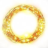 Brightech 20-feet LED Light String Set with Solar Panel [並行輸入品]