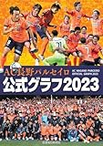 AC長野パルセイロ公式グラフ2023