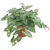 シコジュウムブッシュ x 6【造花・アートフラワー】