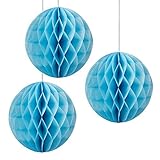 Floral Reef Set of 3 - 4 SKY BLUE Tissue Paper Honeycomb Ball Pom Pom Flower Hanging Home Decoration