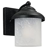 Sea Gull Lighting 84048-185 Single-Light Yorktown Wall Lantern with Swirled Marbleized Glass, Forged