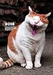 2018岩合光昭ねこダイアリースケジュール