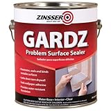 Rust-Oleum Corporation 02301 Problem Surface Sealer, 1-Gallon, Clear [並行輸入品]