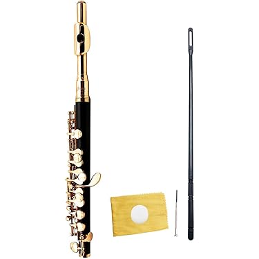 ニッカンピッコロ本体 ケース付き 楽天市場】【中古】Nikkan ニッカン ピッコロ 木管楽器 ケース