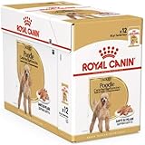 Amazon Co Jp ロイヤルカナン Bhn チワワ 子犬用 1 5kg ペット用品