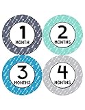 Months In Motion - Baby Month Stickers - Monthly Baby Sticker for Boys - Milestone - Arrows Tribal (