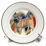 犬Cairn Terrier – Cairn Terrier – プレート 8" cp_4452_1