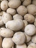 秋馬鈴薯　種イモ　農林1号　1kg　（M~L玉混）
