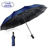 【12本骨強化版】折りたたみ傘 自動開閉 頑丈な12本骨 大きい メンズ傘 折り畳み傘 Teflon加工 超撥水 210T高強度グラスファイバー UPF30+晴雨兼用 おりたたみ傘 耐超強風,青 ブルー