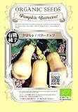 かぼちゃ/バターナッツ / 有機 種子 固定種/グリーンフィールド / 果菜 [小袋]