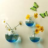 水耕栽培緑の大根の花瓶 半球透明水槽 アンティーク 壁掛け 吊り下げ式 プレゼント 雑貨 飾り 結婚式 容器 (10)