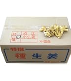Amazon.co.jp: 種生姜 タイ産完熟種生姜 （近江生姜白）10kg※輸入通関