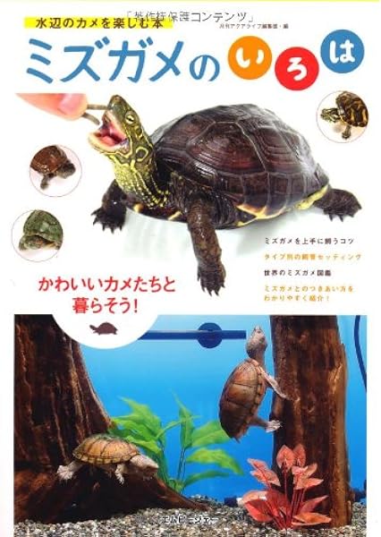 ミズガメのいろは 水辺のカメを楽しむ本 アクアライフの本 月刊アクアライフ編集部 本 通販 Amazon