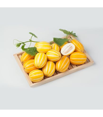 Amazon.co.jp: 【韓国直輸入】チャメ 1箱 (約10kg/マクワウリ/ゴールド