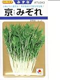 ミズナ タキイ交配 京みぞれ タキイのミズナ種です