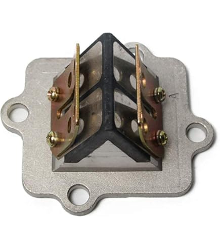 NSR50/80/NS-1 V-FORCE3.5 8枚羽ビッグリードバルブ② NSR50/80/NS-1 V-FORCE3.5 8枚羽ビッグリードバルブ - メルカリ